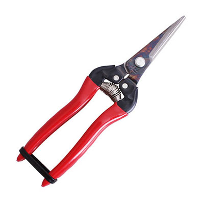 ARS 300L-BP Fruit Pruners